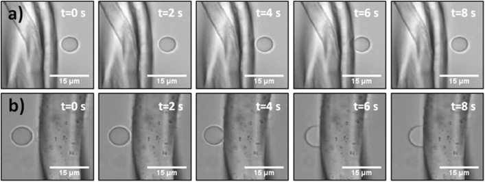 Images of oil droplets and fibres.