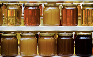 2 lines of jars of honey, all with different colours and consistancies 