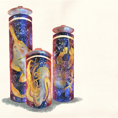 Artist’s illustration of specimens in jars. It is painted in watercolour - animals in jars, but the liquid is outerspace 