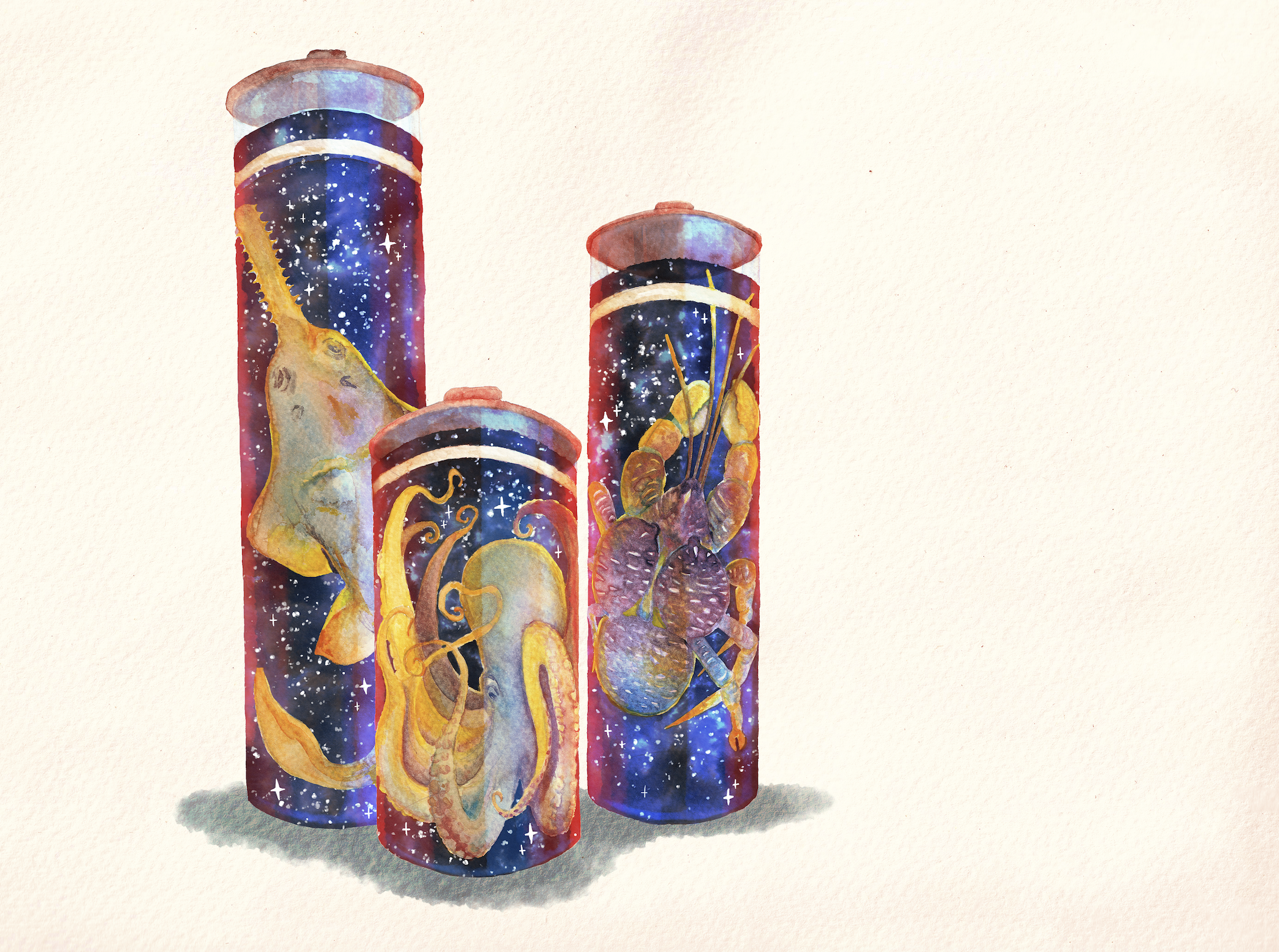 Artist’s illustration of specimens in jars. It is painted in watercolour - animals in jars, but the liquid is outerspace 