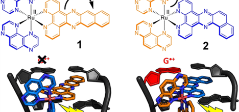  Ru(II) Polypyridyl Structural Isomers