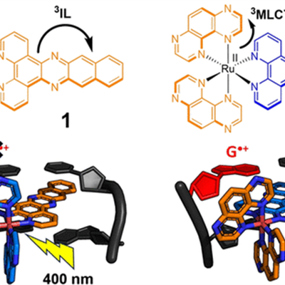  Ru(II) Polypyridyl Structural Isomers