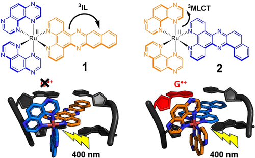  Ru(II) Polypyridyl Structural Isomers