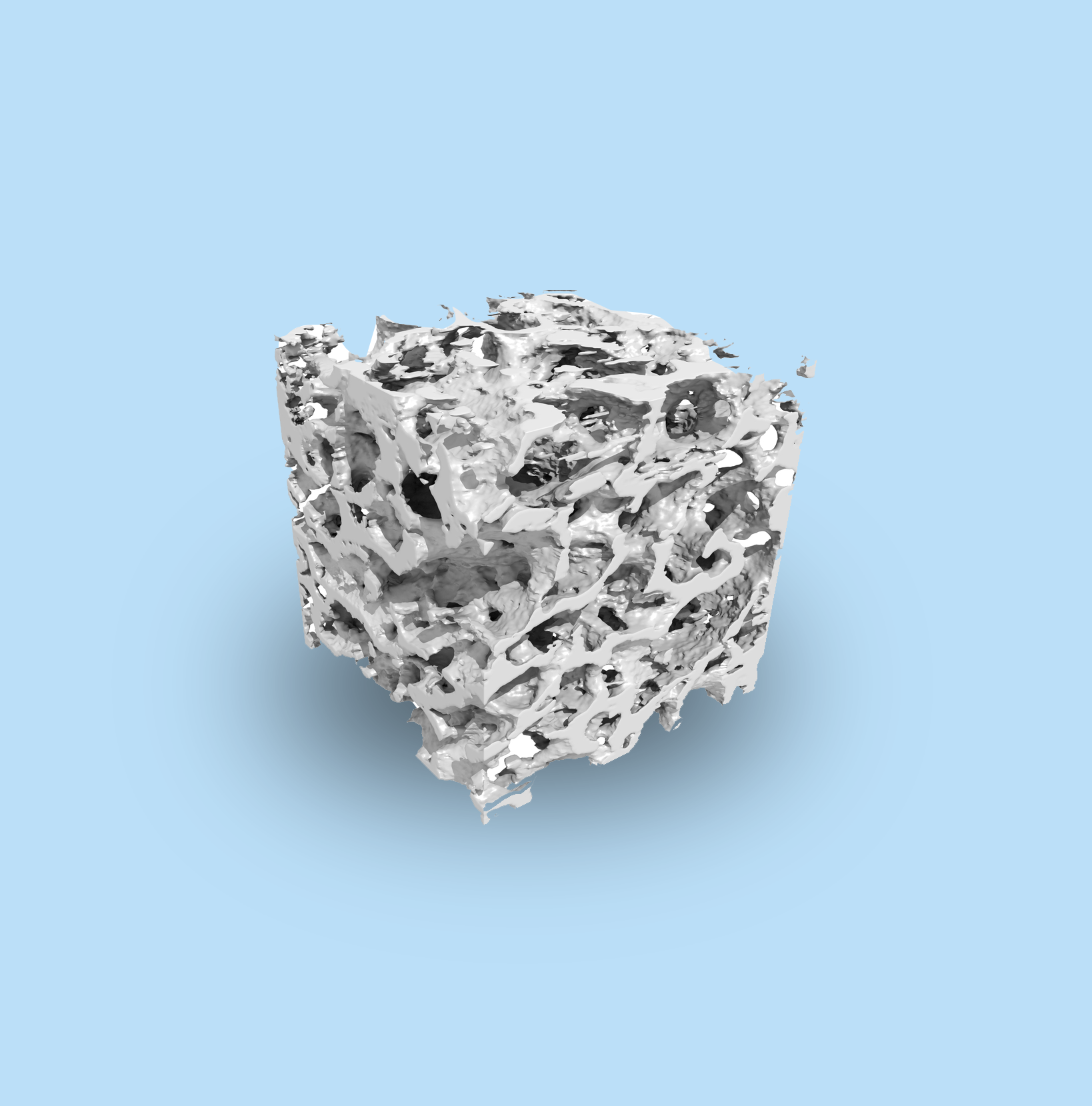 X-ray CT scan of a piece of bone cut into the shape of a cube. The bone appears to have a porous texture.